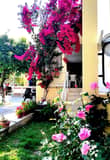 Galeri Image